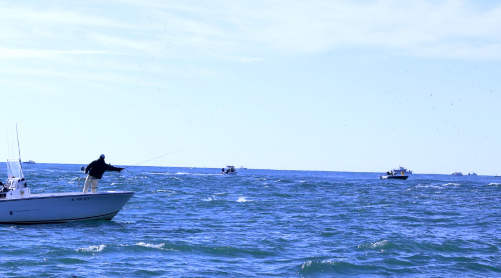 Video: Fly Fishing for Albies off Montauk