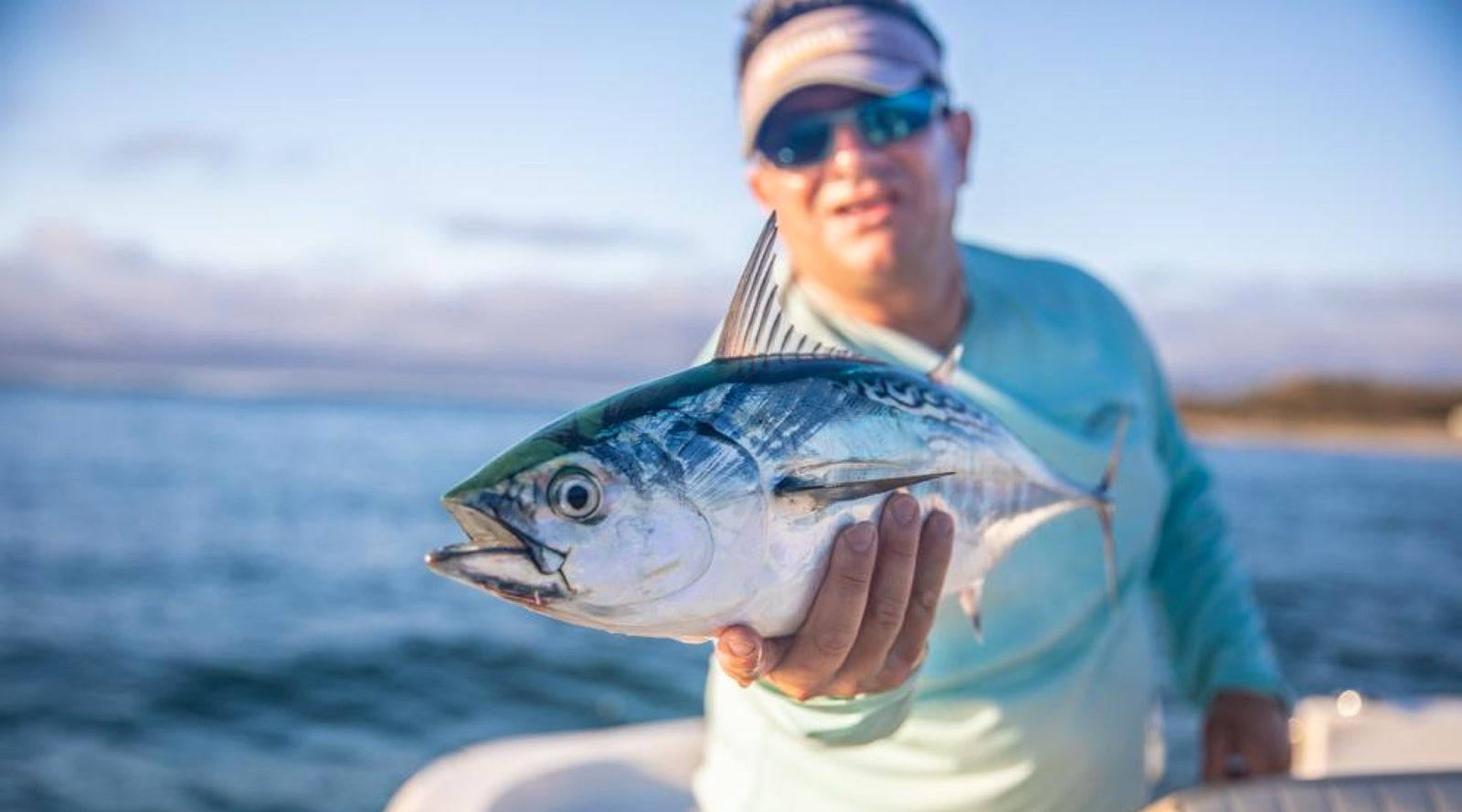 Dispatches: Cape Cod False Albacore Fishing