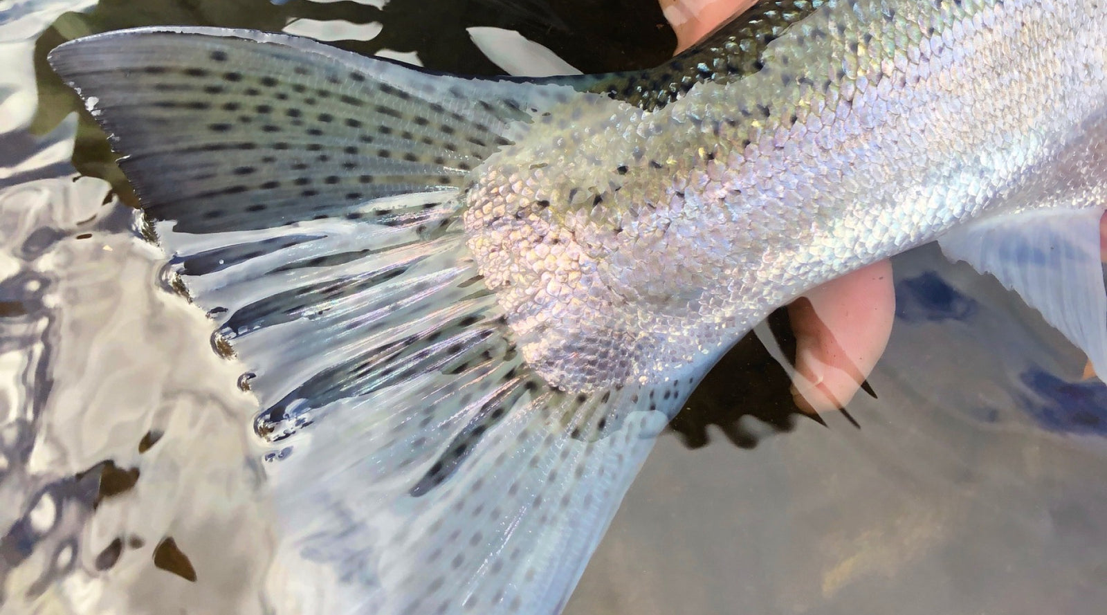 Northeast Fishing Report: 1/14/22