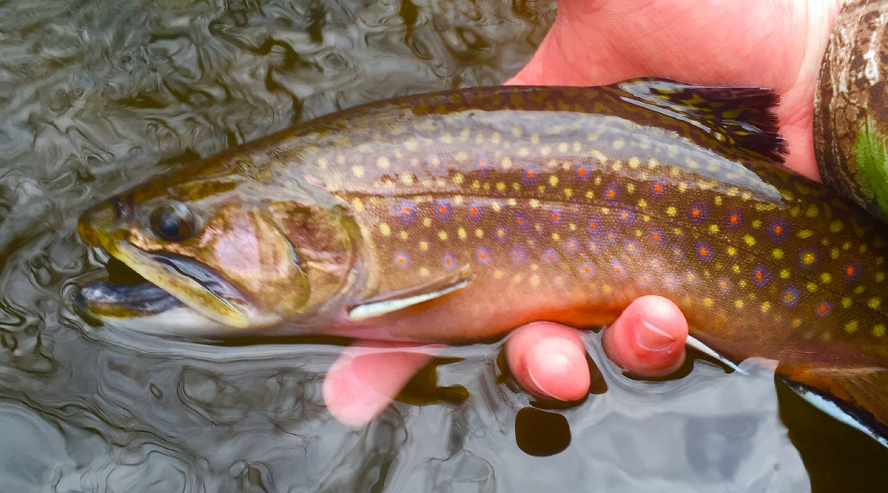 Northeast Fishing Report: 3/19/2021