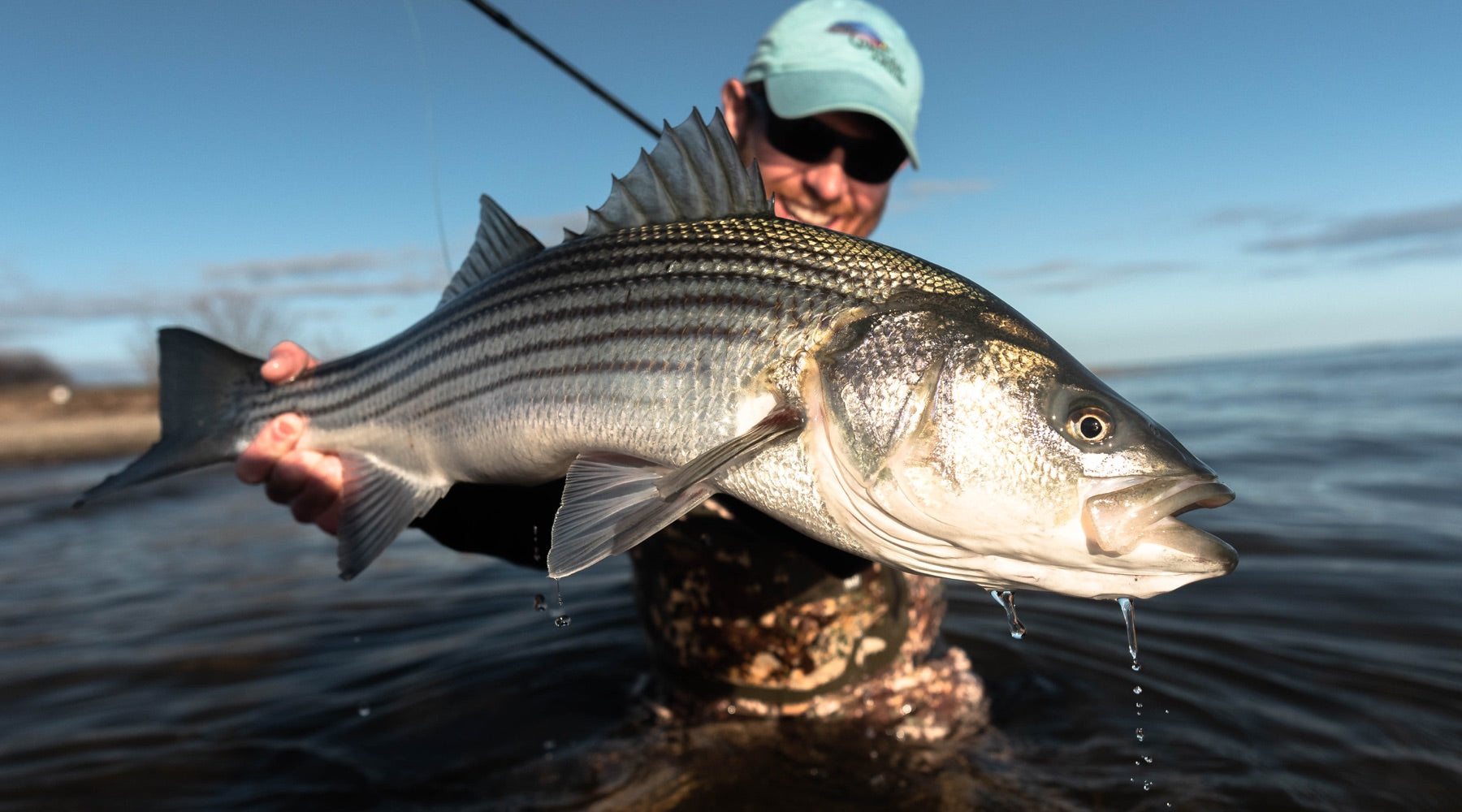 Northeast Fishing Report: 7/30/20