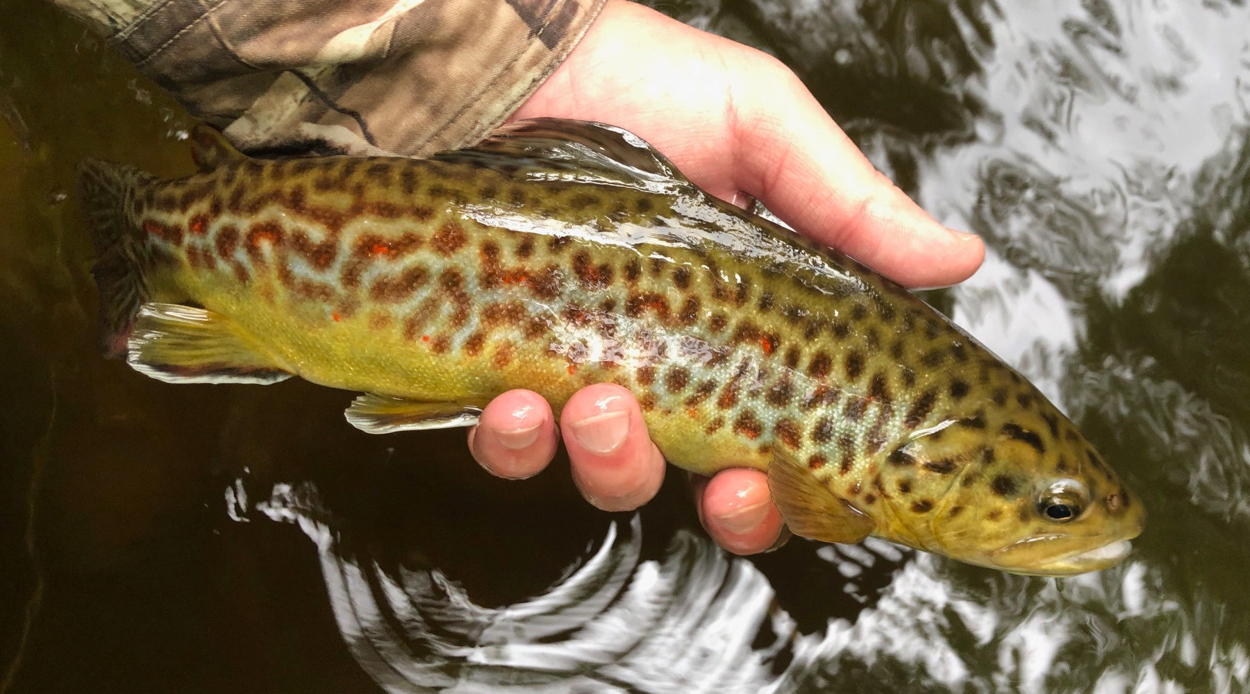 Northeast Fishing Report: 3/26/21
