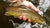 Northeast Fishing Report: 3/26/21