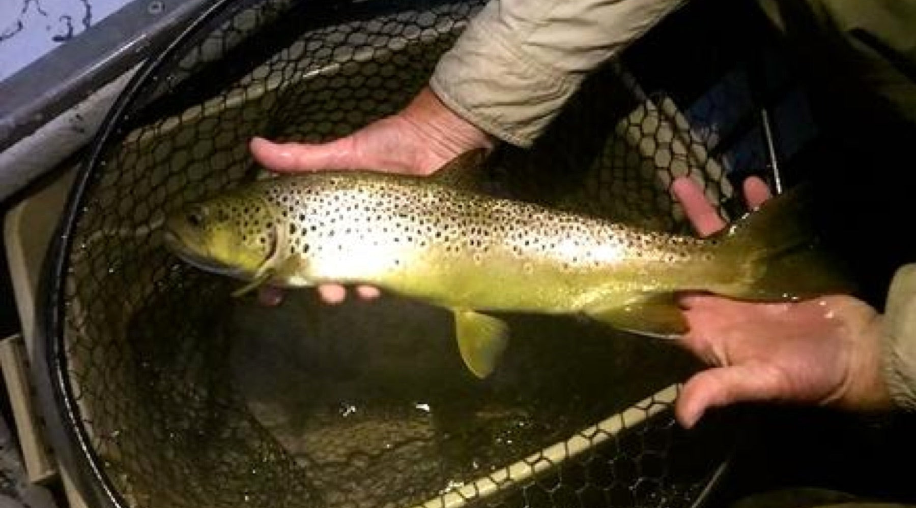 Delaware River Fishing Report