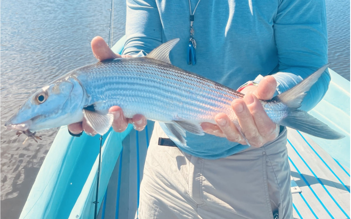 Northeast Fishing Report 2/27/26