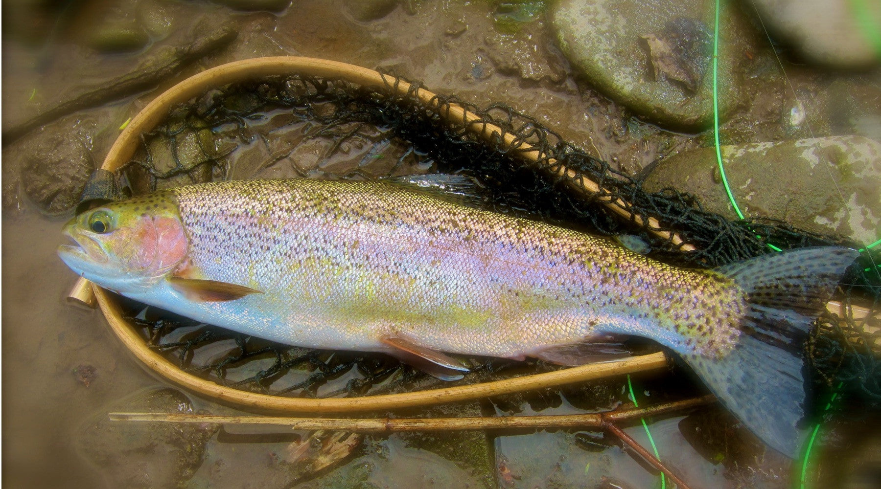 Fishing Report April 26th 2017