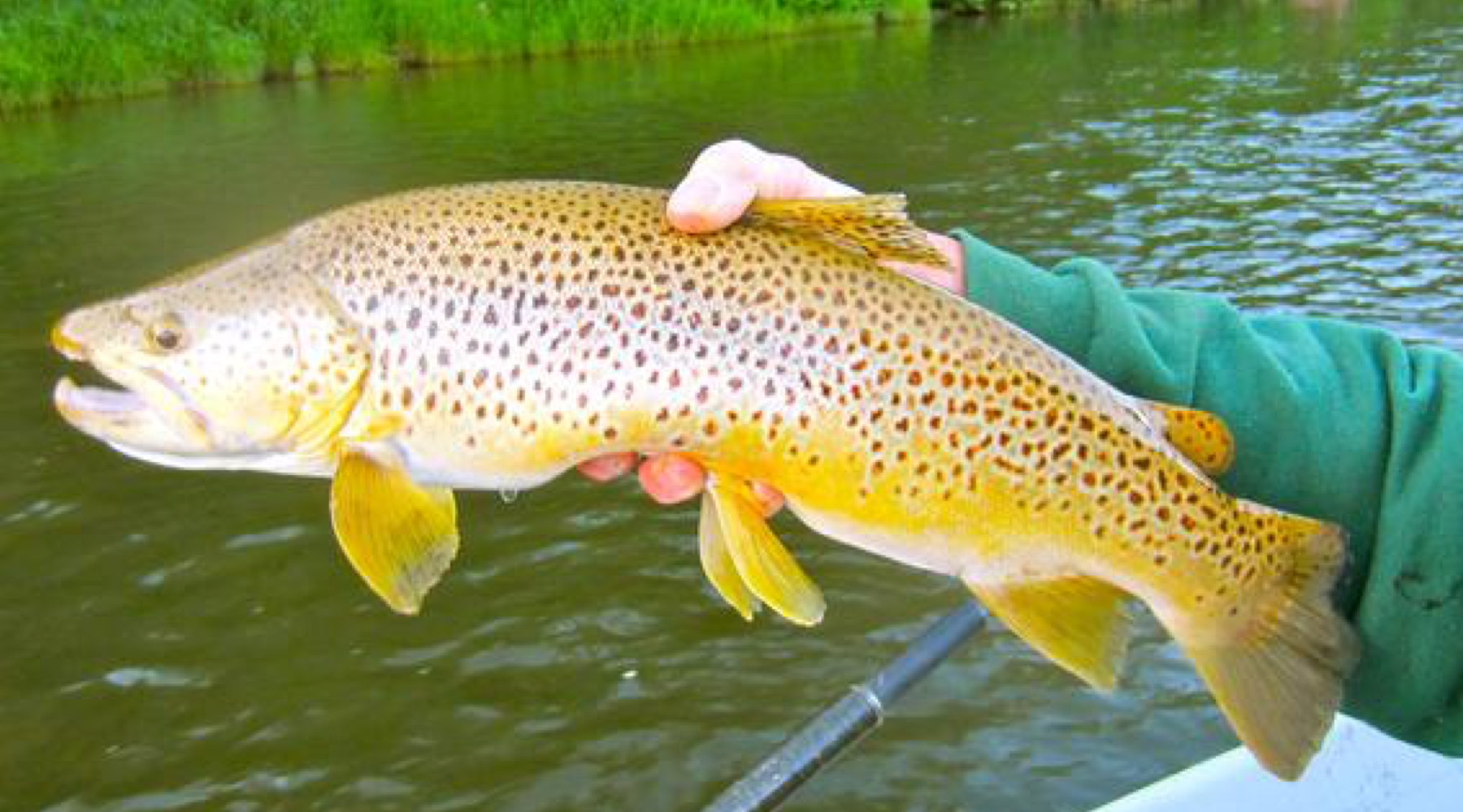 Fishing Report, April 3rd