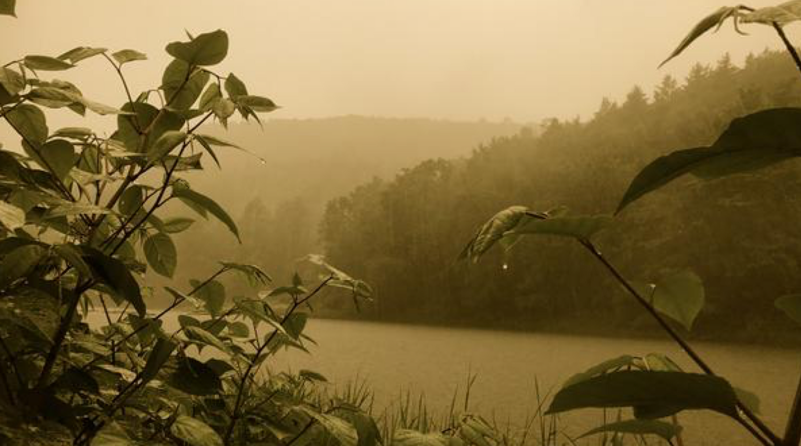 Fishing Report, June 7th