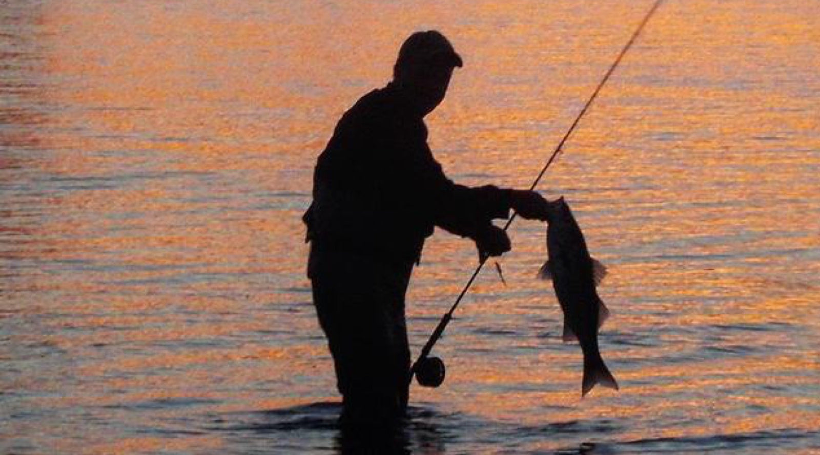 Fishing Report, October 24th