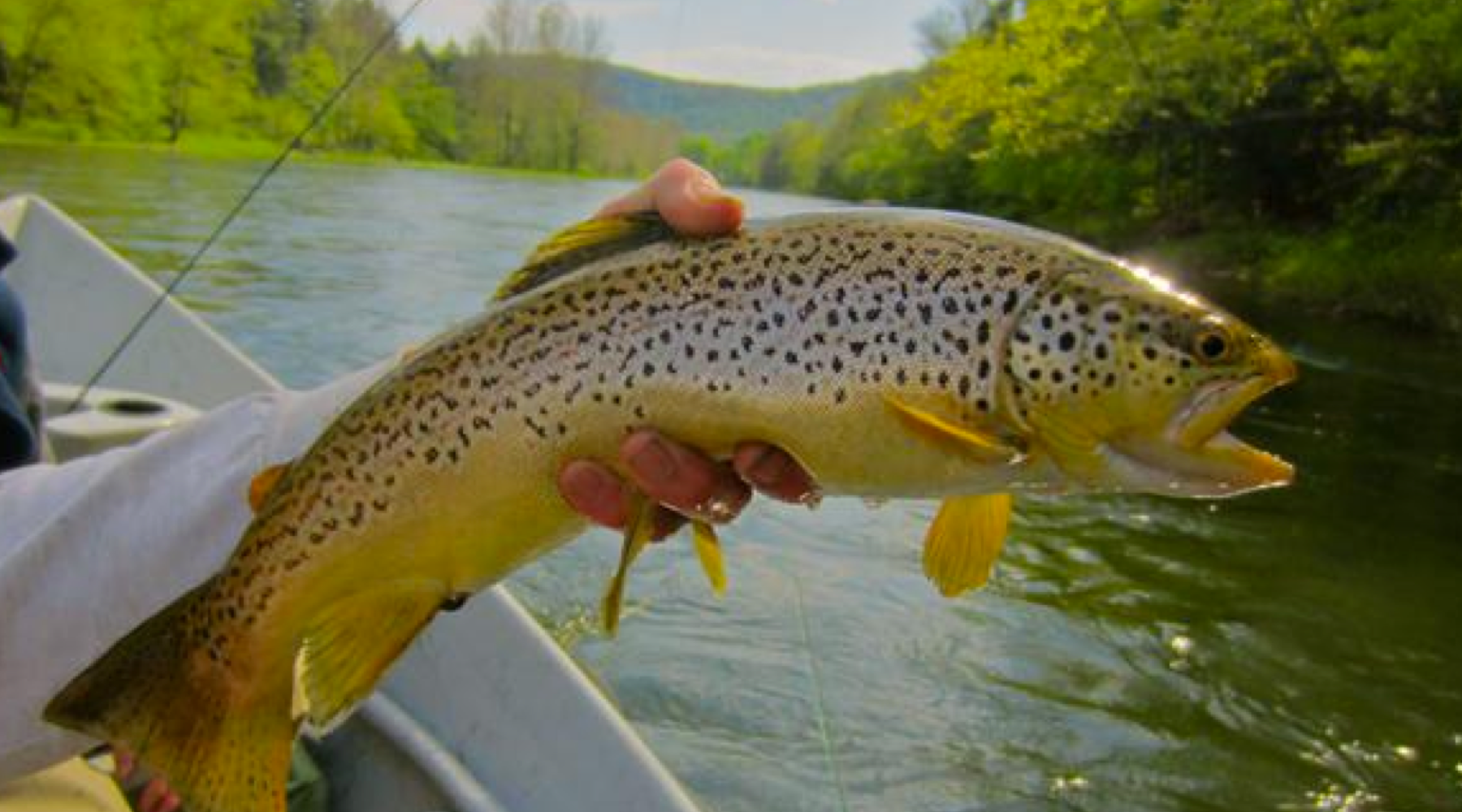 Fishing Report:  March 21, 2018