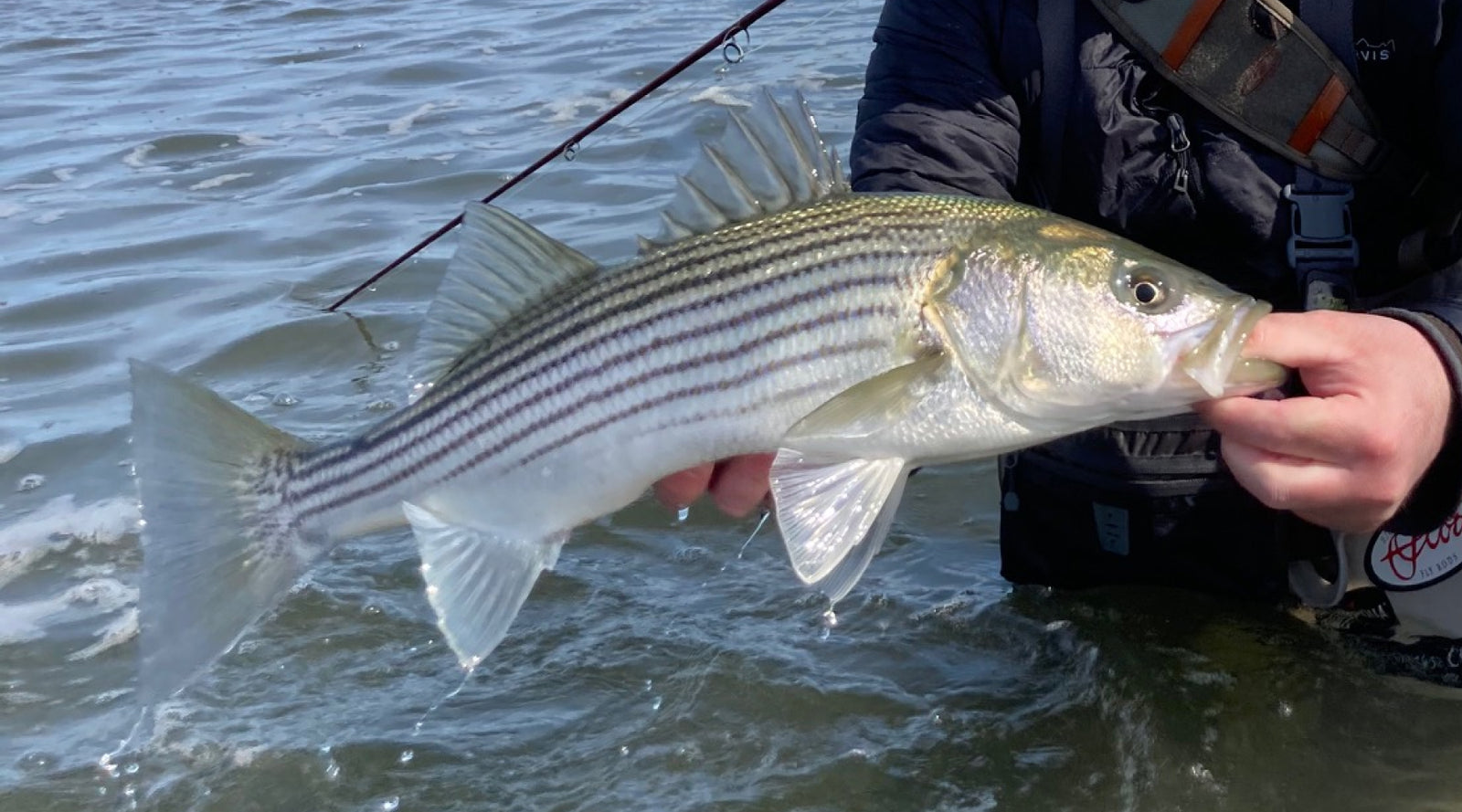 Northeast Fishing Report: 5/14/21