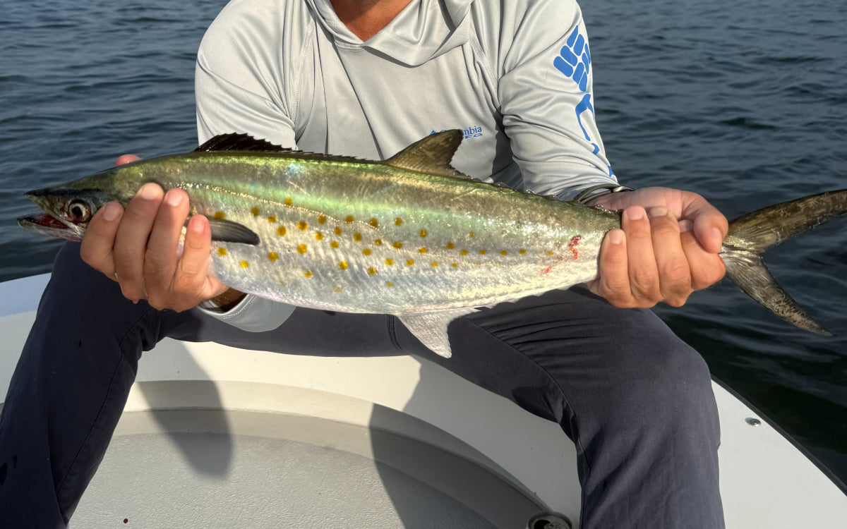 Northeast Fishing Report 9/18/26