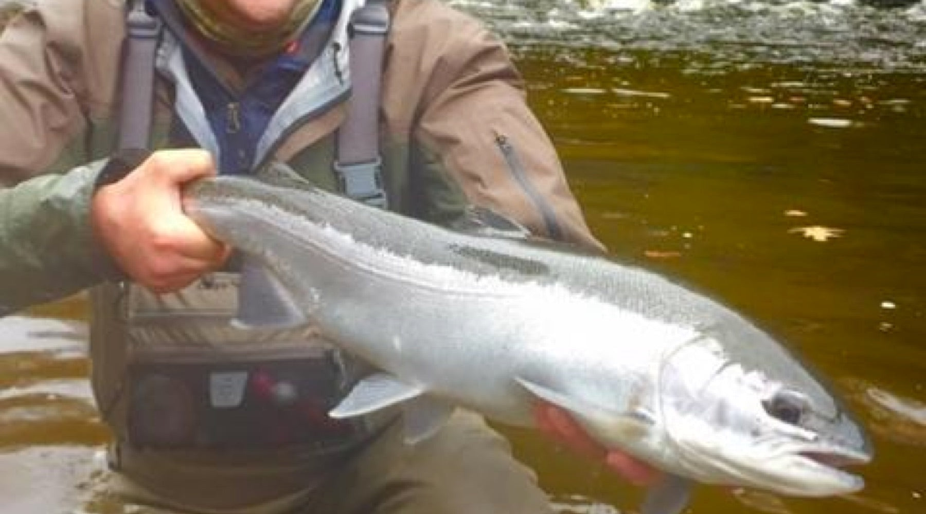 Fishing Report, December 6th!  Salmon River & Feeders and much more!
