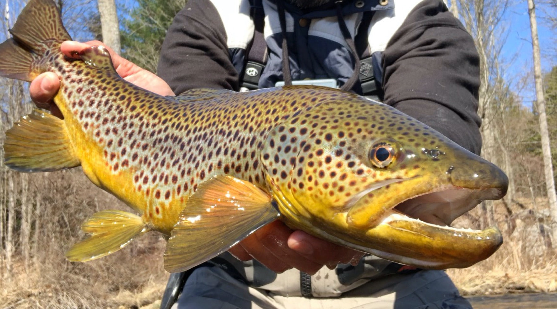 Northeast Fishing Report: 3/19/20