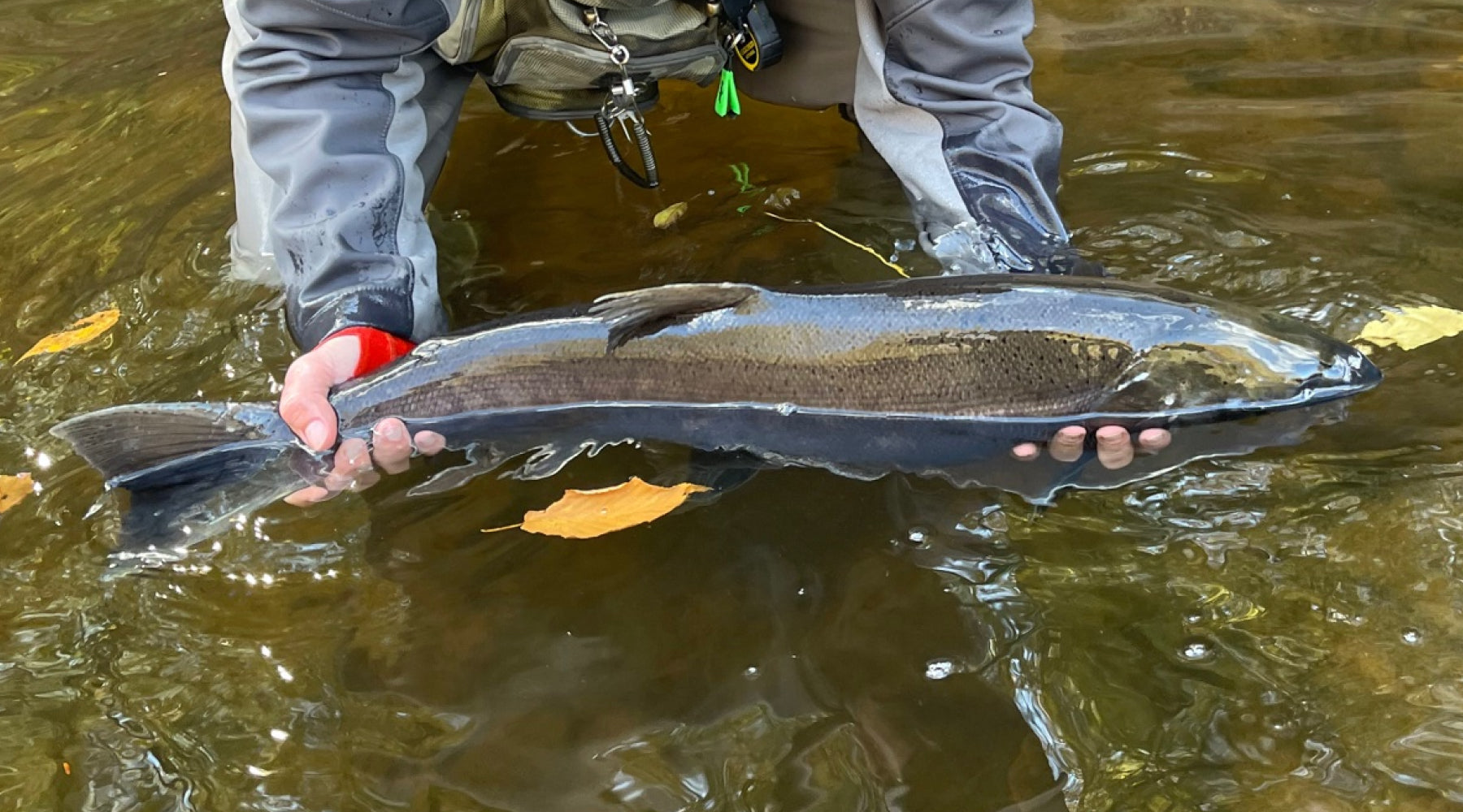 Northeast Fishing Report: 12/17/21