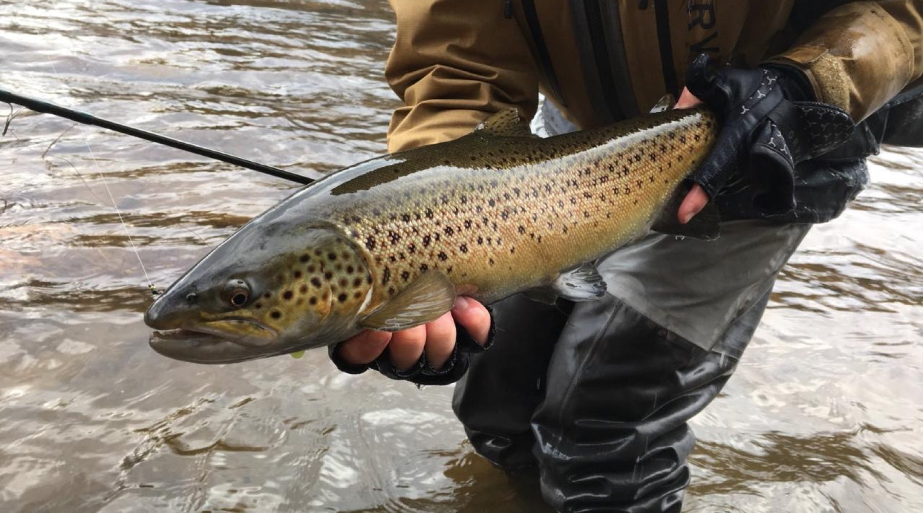 Northeast Fishing Report: 2/12/2021