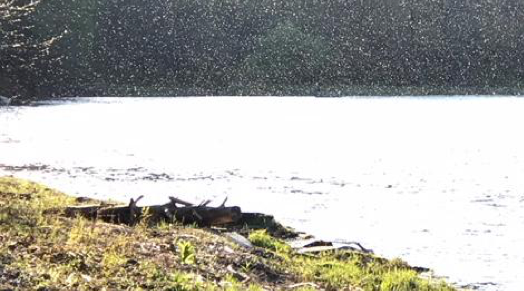 Special Fishing Report, May 8th:  Catskill Rivers and L.I. Sound