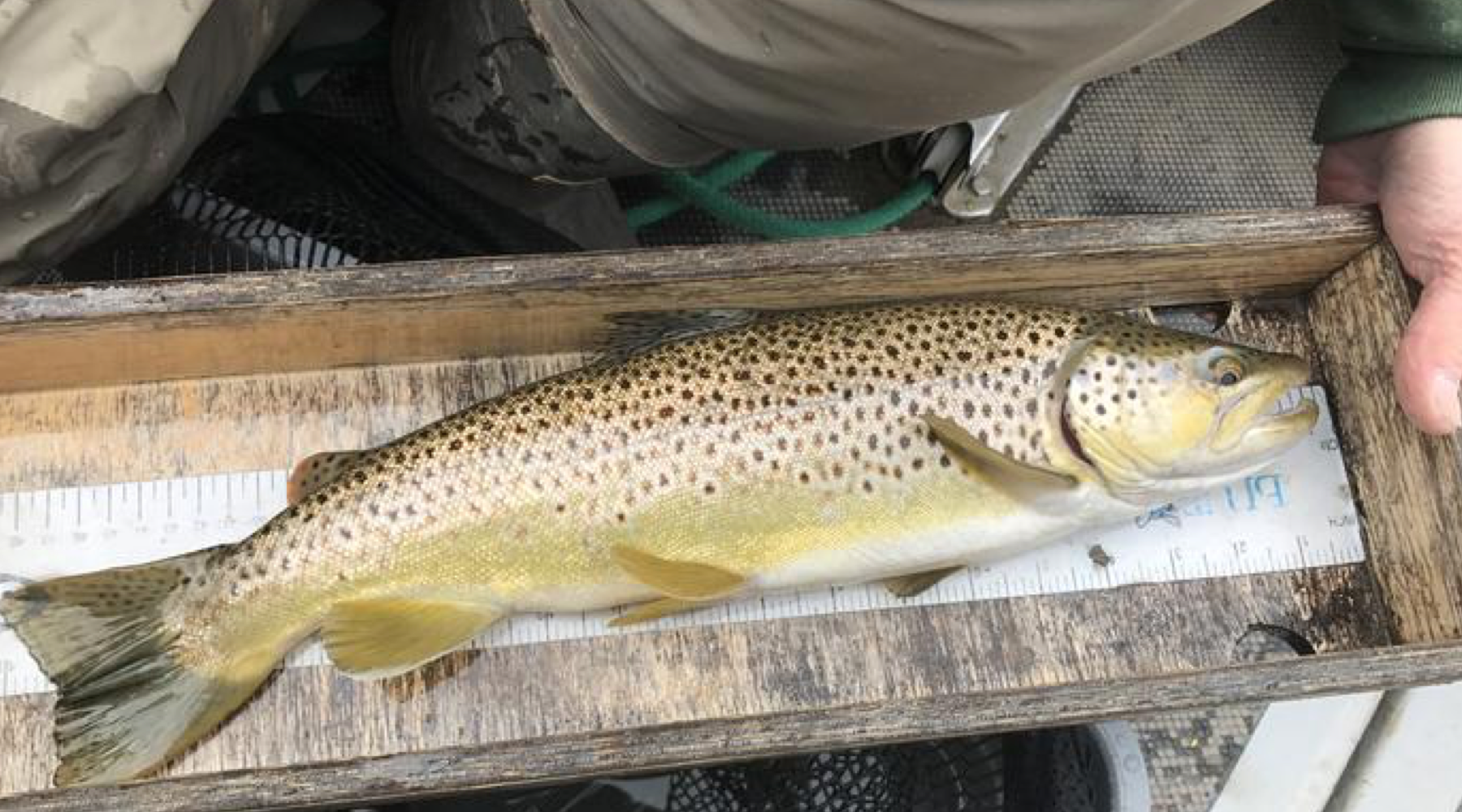 Fishing Report, June 14th, 2017