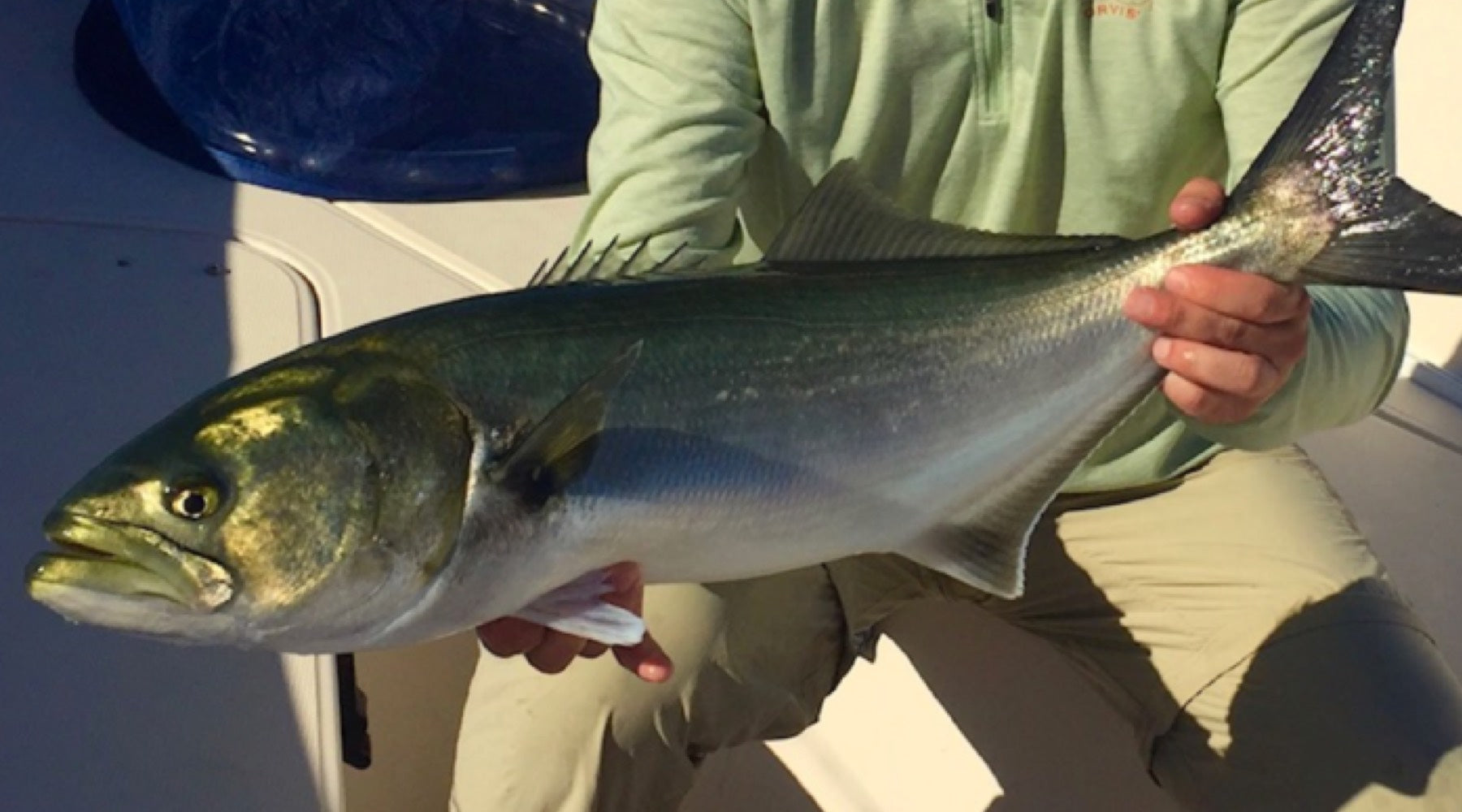 Northeast Fishing Report: 7/11/19