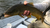 Fishing Report: May 16th