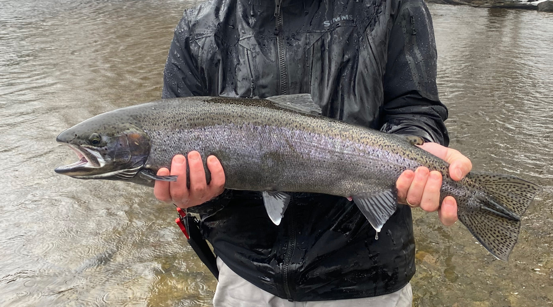 Northeast Fishing Report 2/21/2025