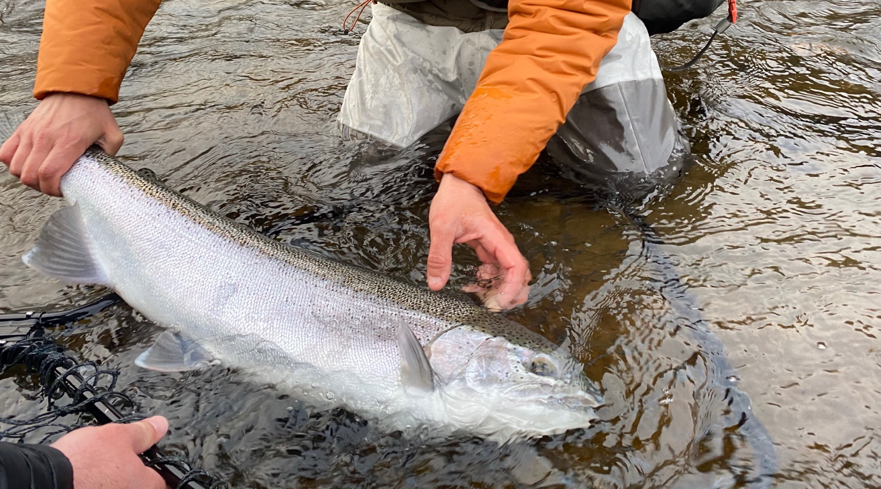 Northeast Fishing Report: 11/28/2020