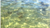 Fishing Report, Friday, October 20