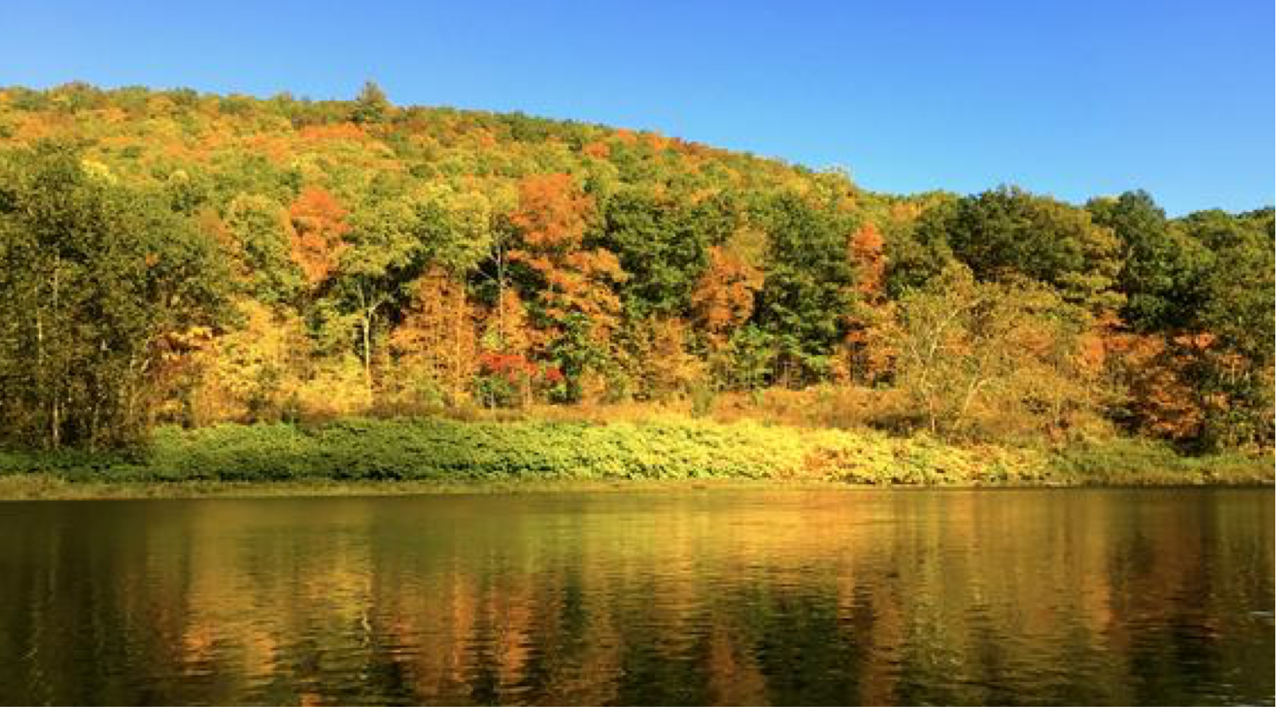 Fishing Report, October 13th ("Friday The 13th"!)