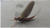 Fishing Report - River Conditions May 30th