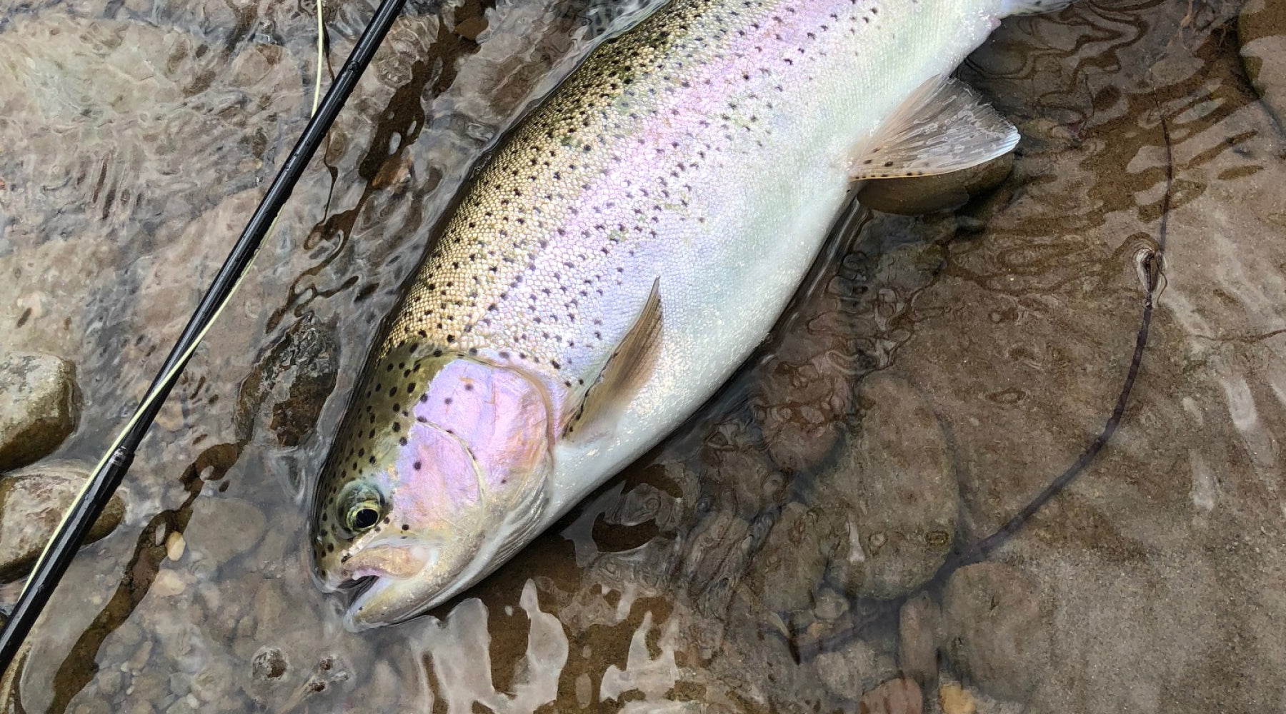 Northeast Fishing Report: 3/17/2023