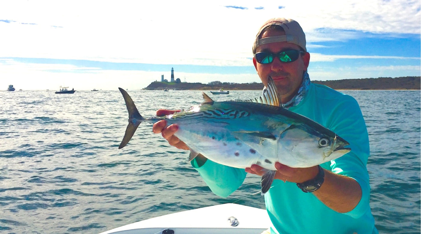 The Compleat Guide to False Albacore Fly Fishing: Fall's Most Fantasti ...