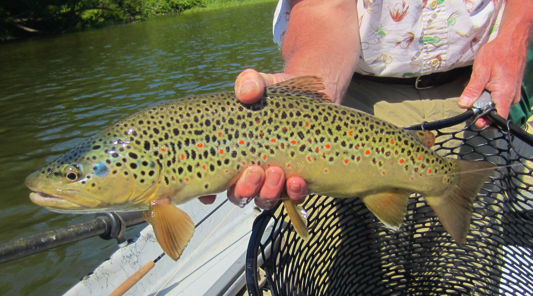 Holiday Gift Guide: Gear for the Trout Bum