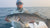 Northeast Fishing Report: 6/16/2023