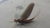 Fishing Report, April 24th:  UPDATE, APRIL 26th