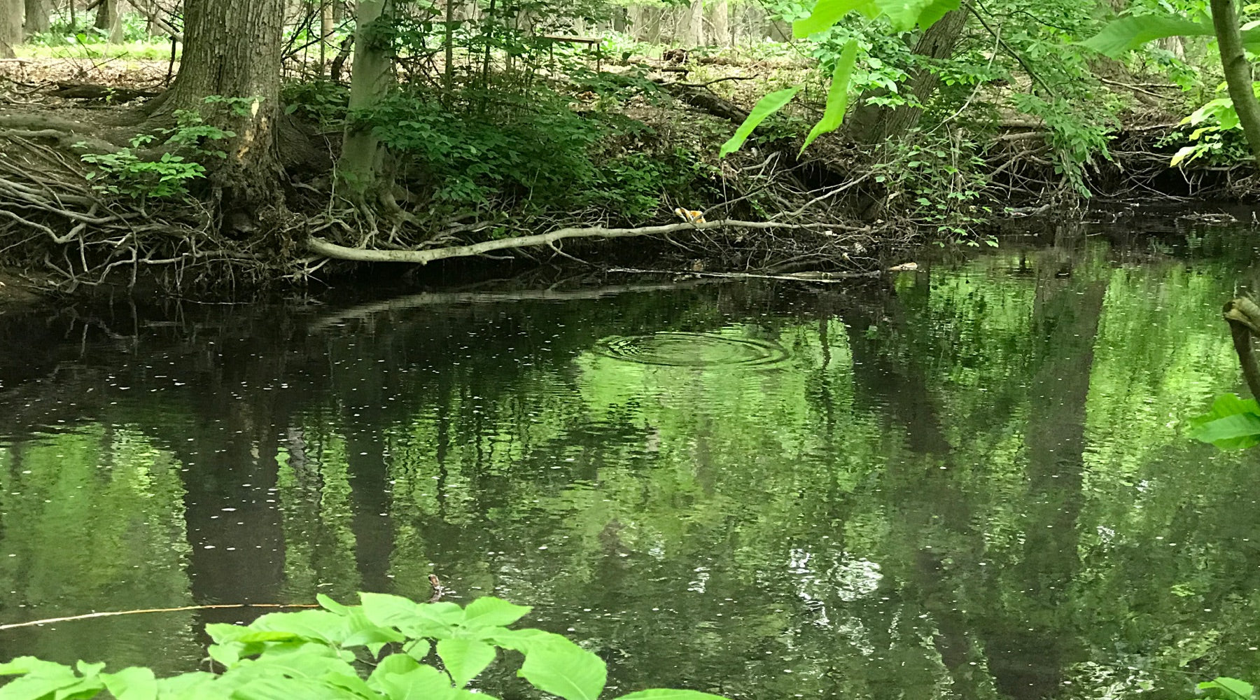 Fishing Report, May 23rd