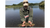 Fishing Report, September 13th