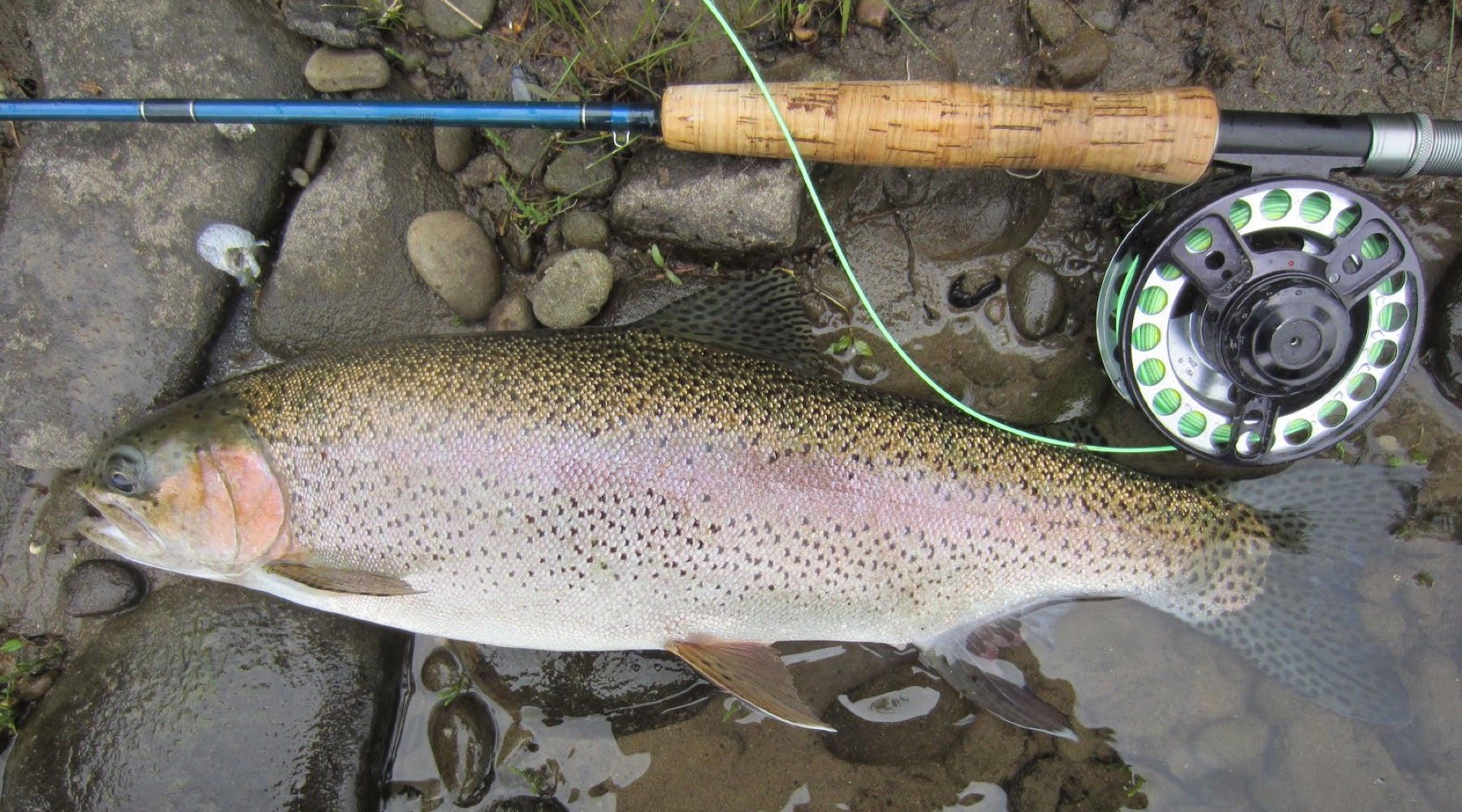Len's Latest: Fishing Report 4/3/19