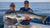 Long Island Sound Fishing Report