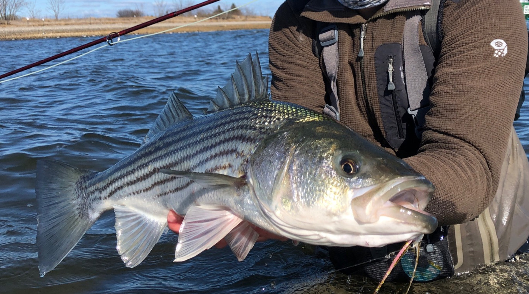 Northeast Fishing Report: 4/30/21
