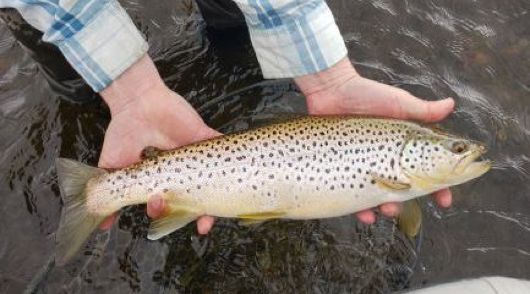 Northeast Fishing Report: 6/14/19