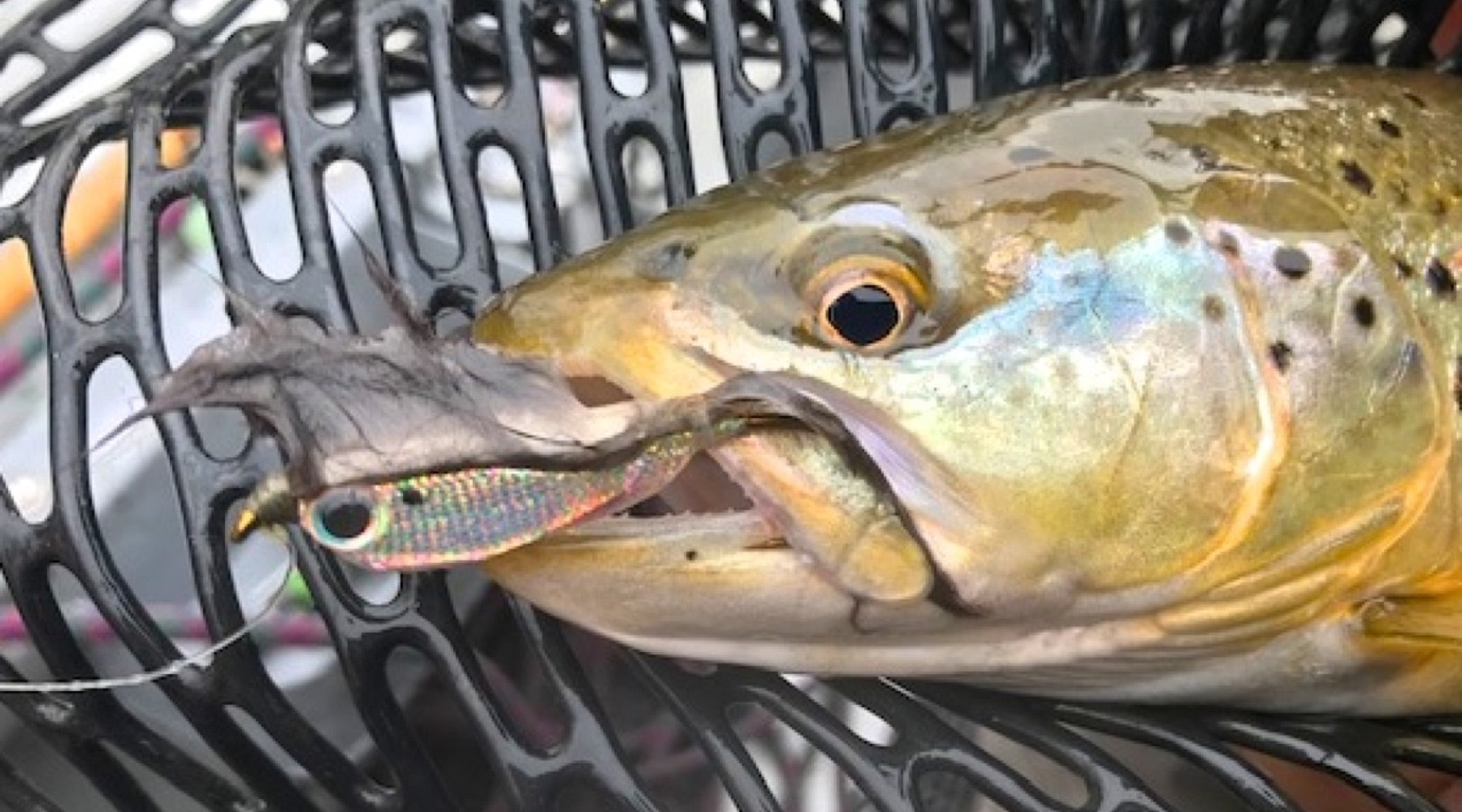 Len's Latest: Catskill Fishing Report for May 1, 2019