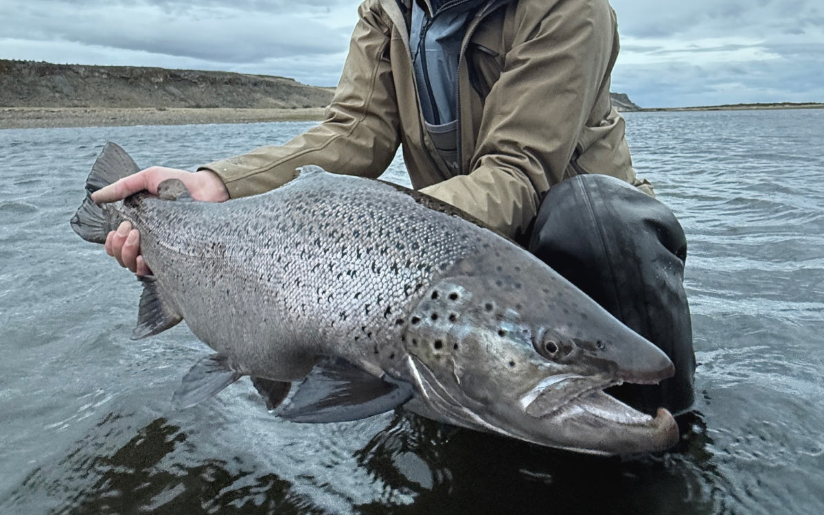 Northeast Fishing Report 2/20/26