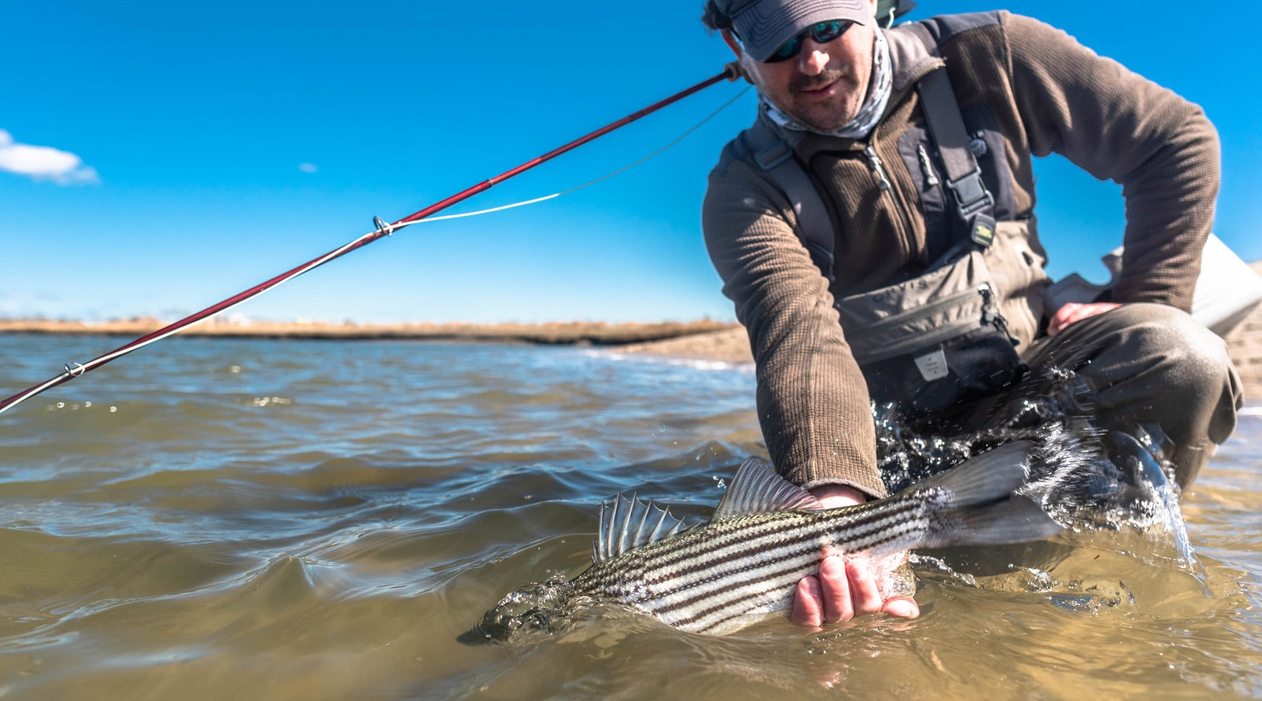 Northeast Fishing Report: 6/25/2020