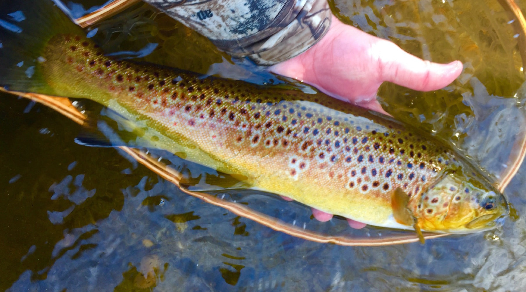 Northeast Fishing Report: 11/22/19