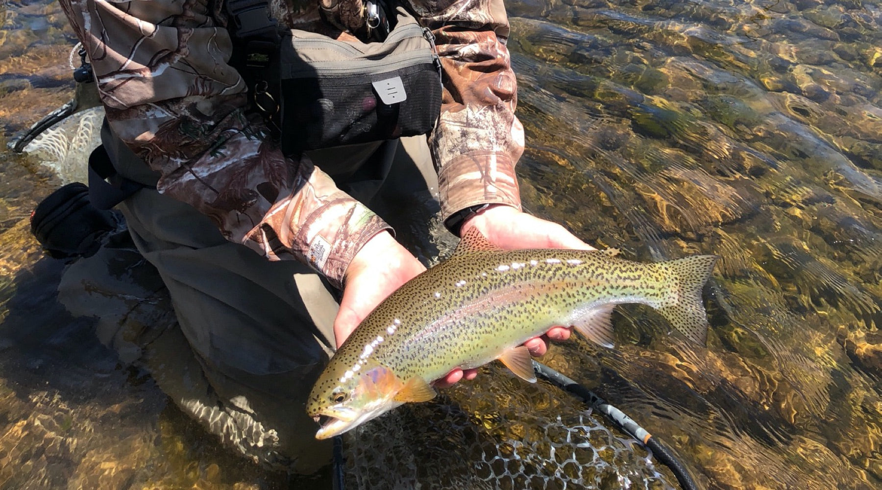Northeast Fishing Report: 5/21/20