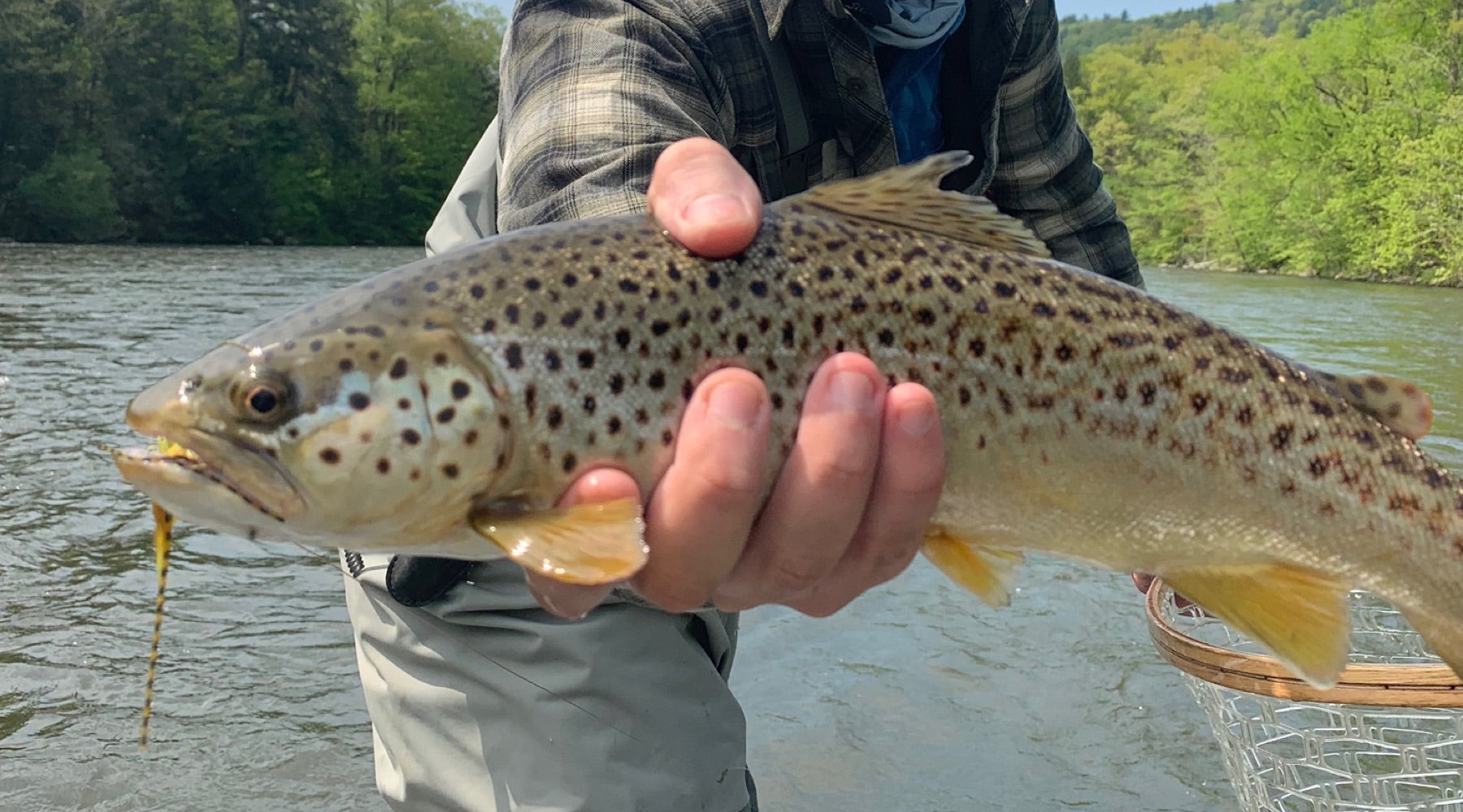 Northeast Fishing Report: 5/29/19