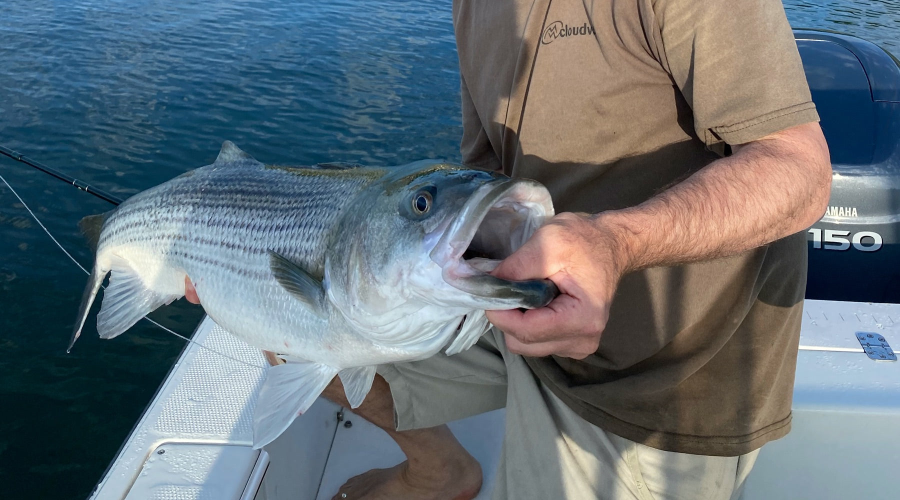 Northeast Fishing Report: 6/12/20