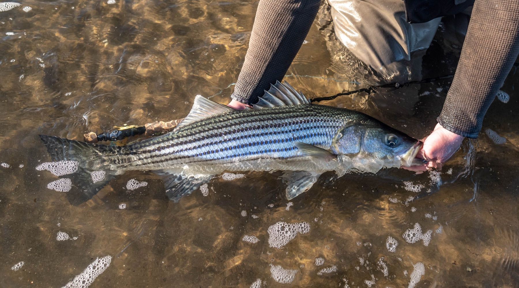 Northeast Fishing Report: 8/21/2020