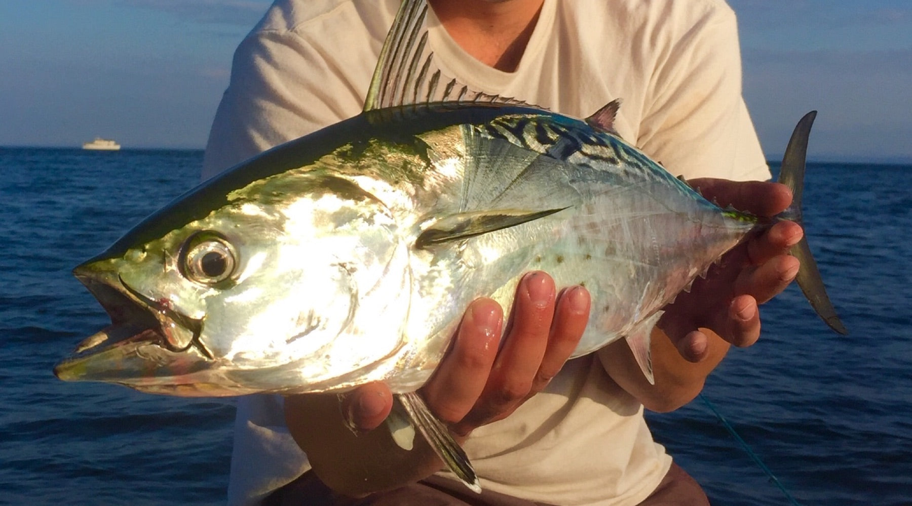 Northeast Fishing Report: 8/30/19