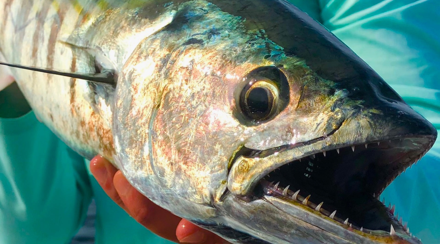 Northeast Fishing Report: 8/15/19